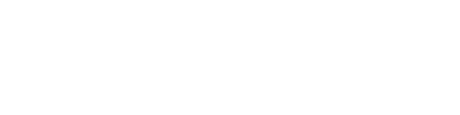 ping_logo_white
